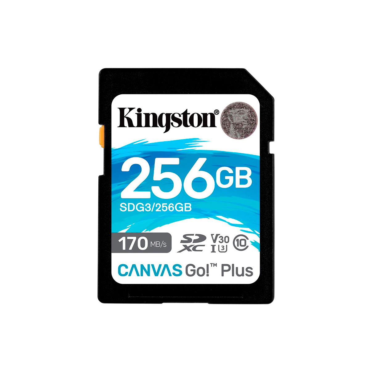 KINGSTON TARJETA SD SDG3 256GB