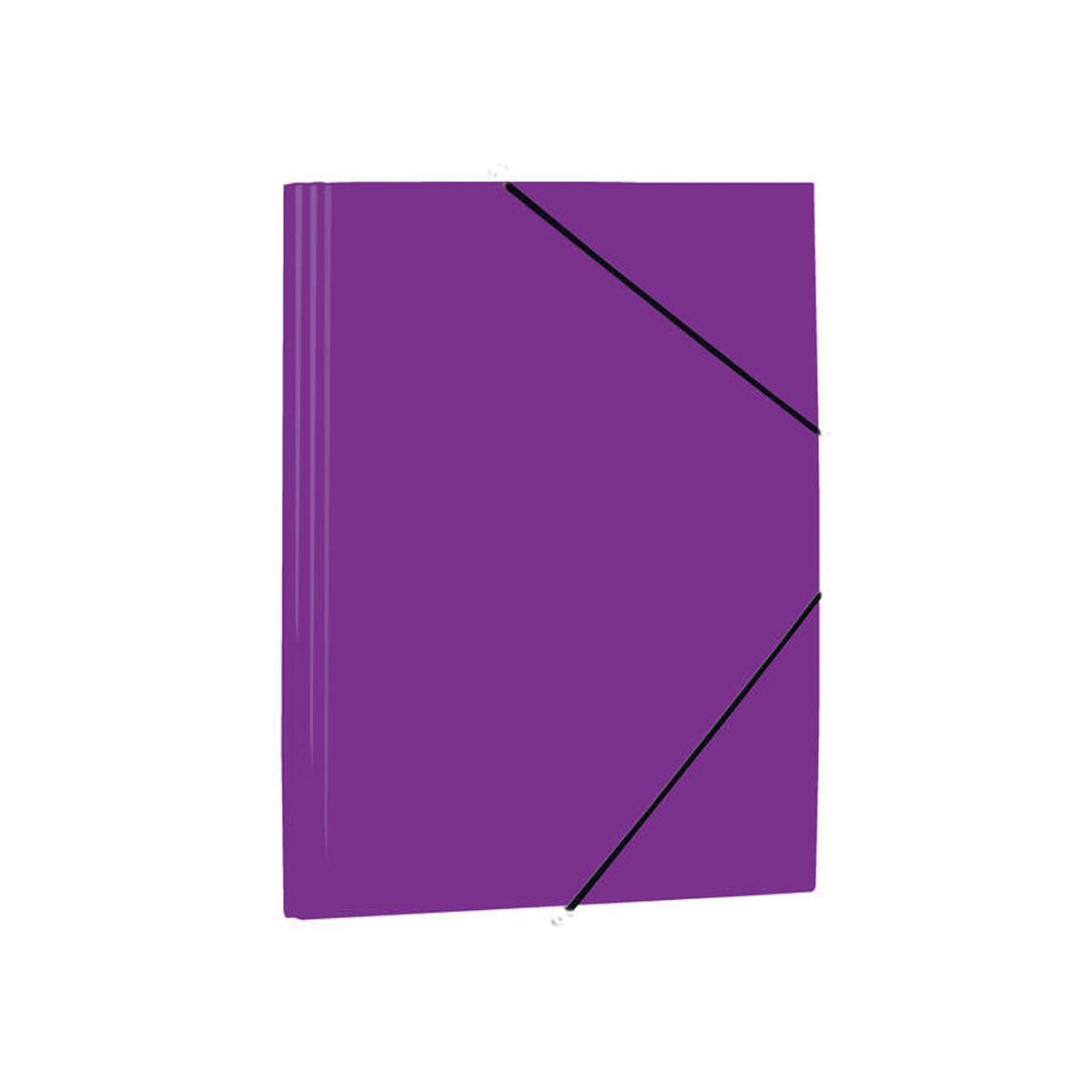 MARIOLA CARPETA FOLIO VIOLETA
