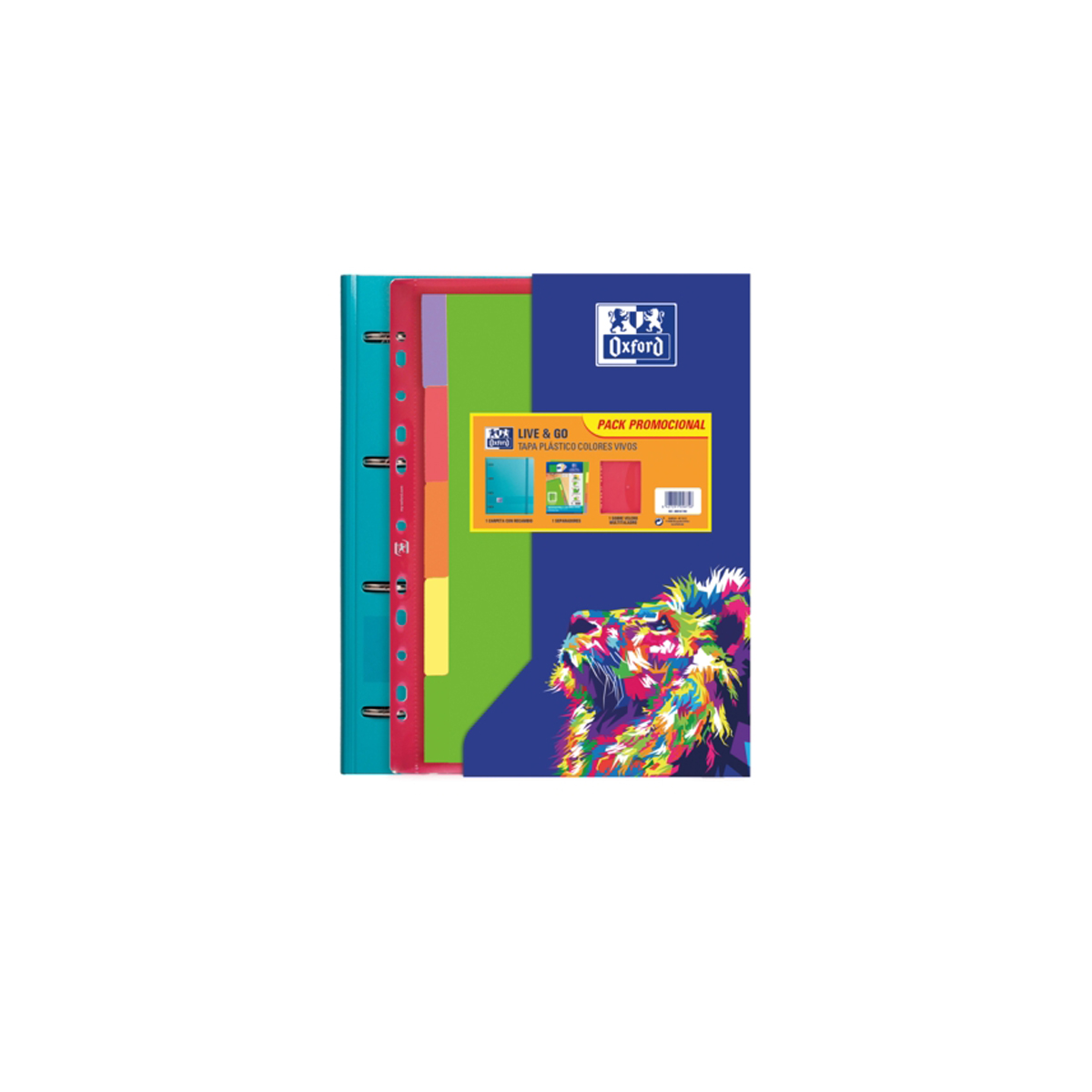 OXFORD CARPETA 4A A4+ SURT 10U